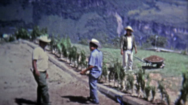 1973:-Farm-parte-de-los-trabajadores-que-más-alta-de-los-campos-de-la-elevación-de-la-terraza.