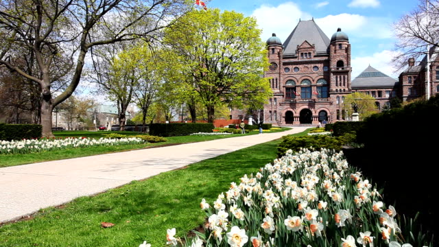 Queens-Park-in-Toronto-with-daffodils
