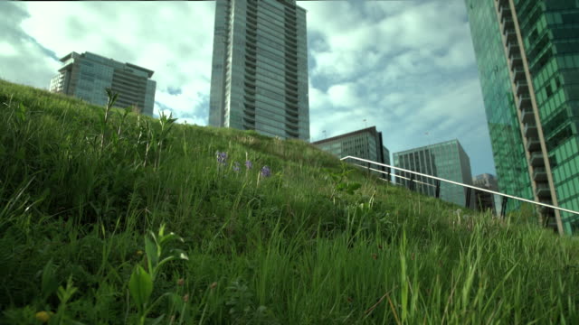 In-der-Innenstadt-von-Vancouver-grünen-Dach-Kamerafahrt-mit-Dolly