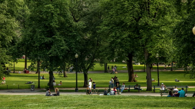 Boston-Common-Zeitraffer:-Menschen,-die-ein-Sommertag-im-Park-genießen.