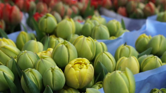 Verkauf-von-verschiedenfarbigen-Tulpen-in-europäischen-Blumenmarkt