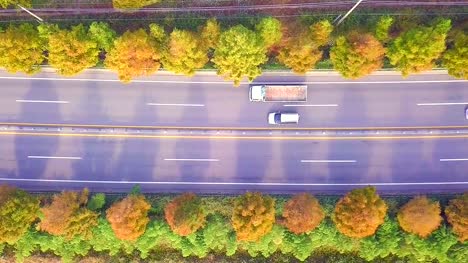 Erhöhte-Ansicht-der-Straße-im-Herbst-Südkorea