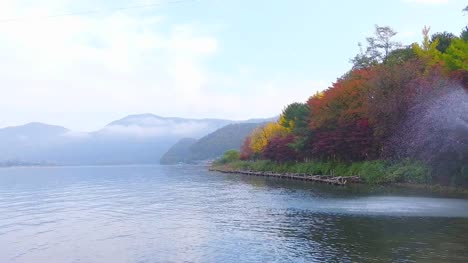 Nami-Insel-im-Herbst-Südkorea