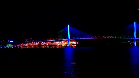 night-shot-of-Korea-busan-bridge-and-port-from-ship
