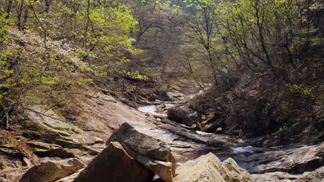 Parque-nacional-Seoraksan,-Corea-del-Sur