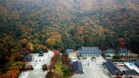 Luftbild-Herbst-Statue-des-Buddha-im-Tempel,-Seoul-Korea