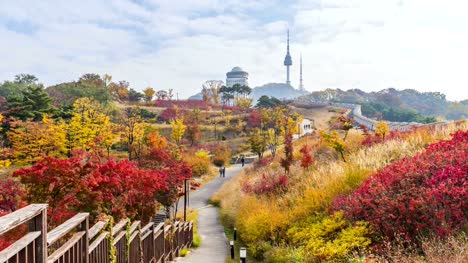 Lapso-de-tiempo-de-otoño-en-Parque-Namsan-de-Seúl-ciudad,-Korea.Zoom-del-sur-en