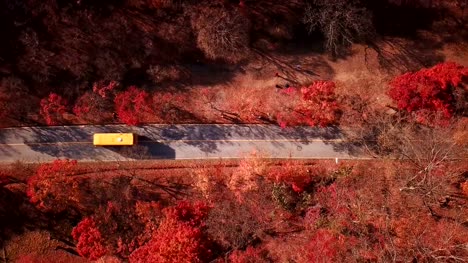 Vista-aérea-conducción-de-automóviles-en-la-carretera-en-el-bosque-del-otoño.-El-Parque-Nacional-Naejangsan,-Corea-del-sur.