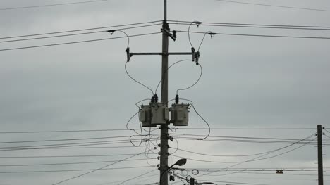 Electronic-Telephone-pole-in-a-rain-day