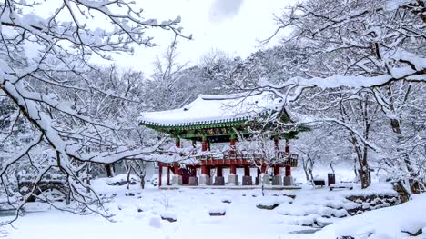 Falling-snow-at-Baekyangsa-temple-in-winter.