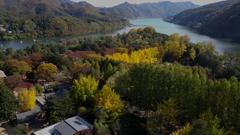 Luftbild-im-Herbst-von-Nami-Island,-Südkorea