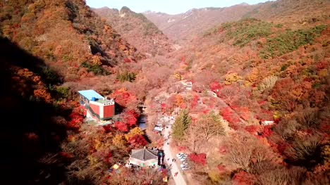 Aerial-view-autumn-forest-of-Naejangsan-National-Park,South-Korea.