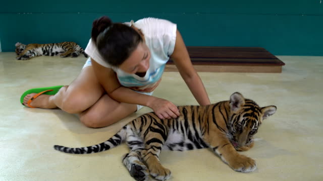 Woman-plays-with-Tiger-Cub