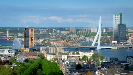 View-of-Rotterdam-city-and-the-Erasmus-bridge-Erasmusbrug