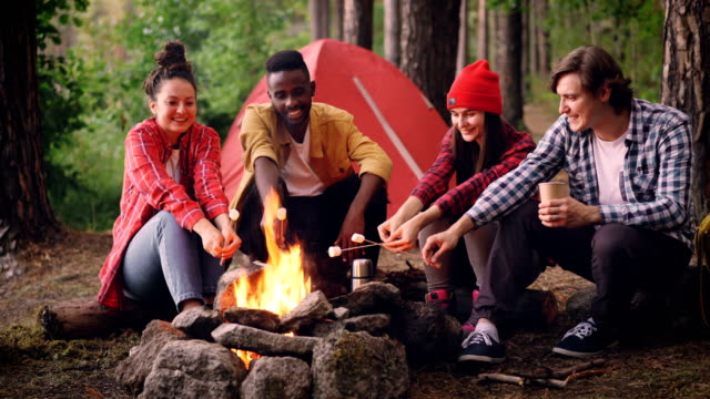 Cinemagraph-loop---multiracial-group-of-tourists-is-cooking-food-roasting-marshmallow-on-open-fire-sitting-in-forest-and-smiling.-Hiking,-healthy-lifestyle-and-youth-concept.