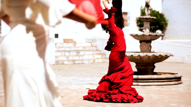 Traditionelle-Flamenco-Tänzern