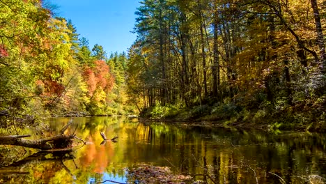 Autumn-Colors-on-Linville-River-at-Falls,-North-Carolina