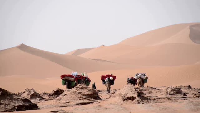 A-small-caravan-of-camels-and-beduins-walking-on-the-plains-appoaching-the-sand-dunes