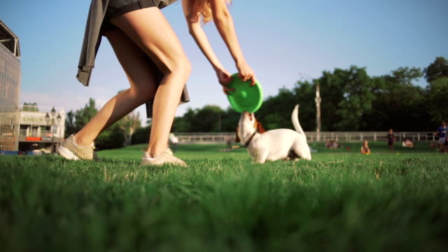 joven-jugando-con-poco-lindo-jack-terrier-russel-en-el-parque,-cámara-lenta