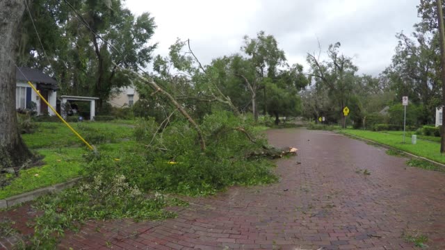 Irma-Hurrikanschäden-im-historischen-Zentrum-von-Lake-Eola-Höhen-Nachbarschaft-Orlando-Florida