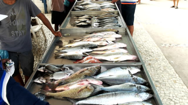 Fisch-zum-Verkauf-auf-einem-Markt-an-der-Copacabana-in-rio