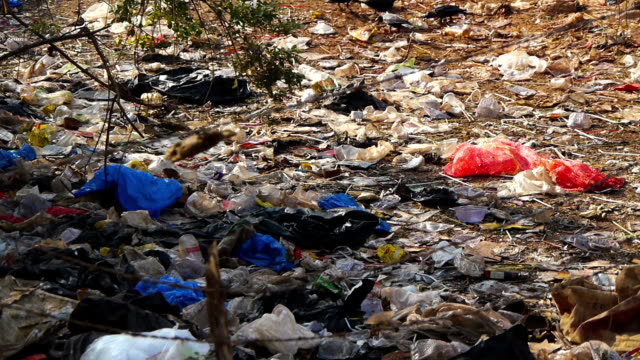 Garbage-India