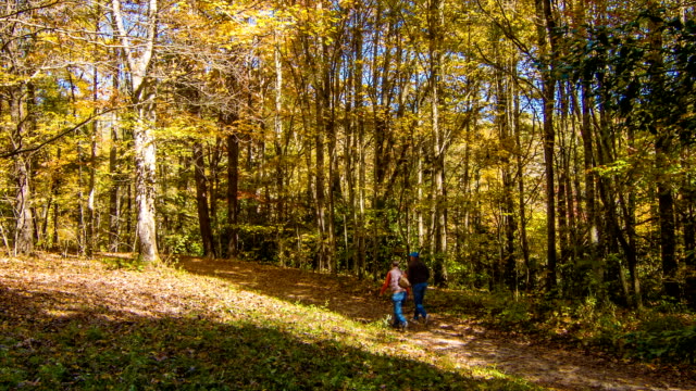 Blue-Ridge-Mountain-Hiking-Trial-with-People-Walking-in-Autumn