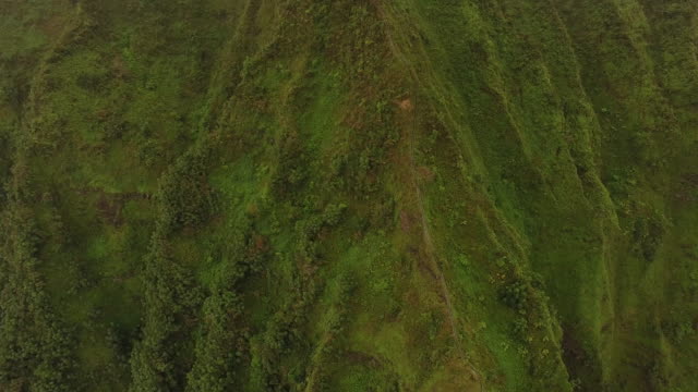 Luftaufnahme-der-Insel-Oahu-Wanderweg-Innovative-Präsentations-Treppe
