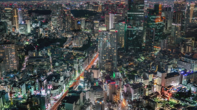 Elevated-view-of-Tokyo