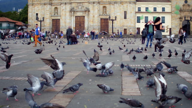 Tauben-und-Menschen-am-Plaza-de-Bolivar,-La-Candelaria,-Bogotá,-Kolumbien-2