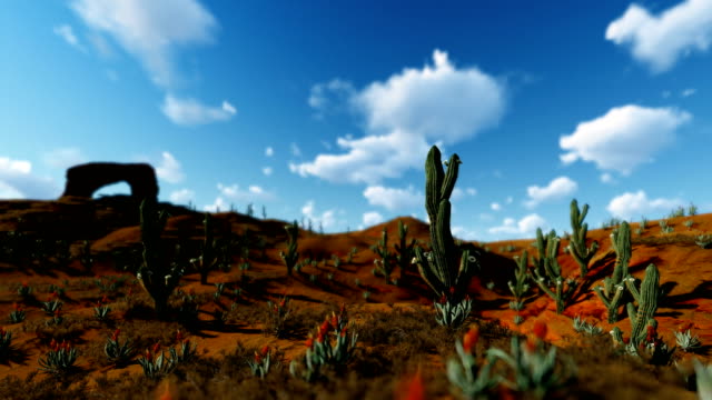 Saguaro-Cactus-in-Desert-against-timelapse-clouds,-camera-panning,-4K