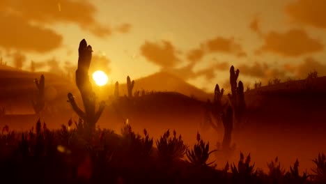 Saguaro-Cactus-in-Desert-against-beautiful-Morning-Sun,-pan-and-zoom-out