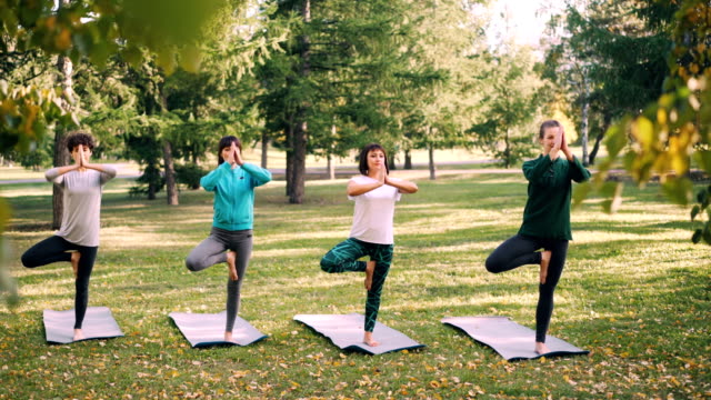 Focused-girls-yogini-are-standing-in-Vrksasana-pose-Tree-position-on-yoga-mats-in-park-in-autumn-maintaining-balance-and-breathing.-Wellness-and-youth-concept.
