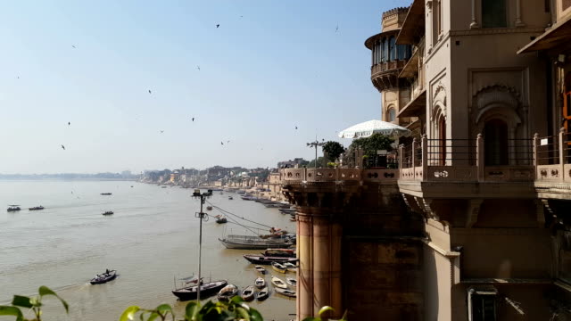 Birds-In-Varanasi-River
