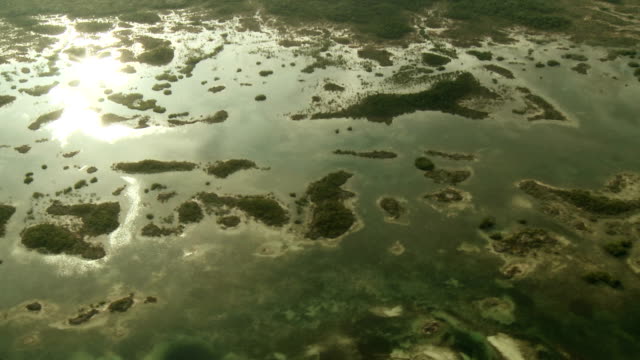Aerial-of-swampy-archipelago-1