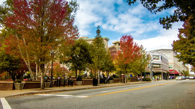 Der-Innenstadt-von-Asheville,-NC,-die-Pritchard-Park-im-Herbst
