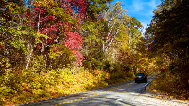 Vehículo-deportivo-utilitario-(SUV)-campo-de-la-pintoresca-Highway-276-en-otoño-en-las-montañas-Great-Smoky