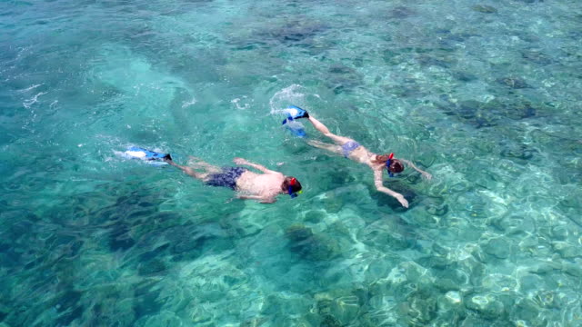 v04071-fliegenden-Drohne-Luftaufnahme-der-Malediven-weißen-Sandstrand-2-Personen-junges-Paar-Mann-Frau-Schnorcheln-Schwimmen-Tauchen-auf-sonnigen-tropischen-Inselparadies-mit-Aqua-blau-Himmel-Meer-Wasser-Ozean-4k