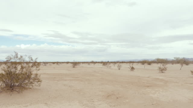 Paisaje-del-desierto-polvoriento-con-vegetación-de-matorrales