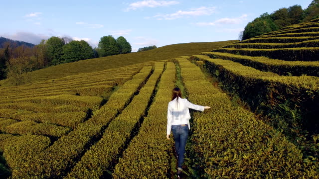 Schöne-Frau-zu-Fuß-auf-den-Teeplantagen