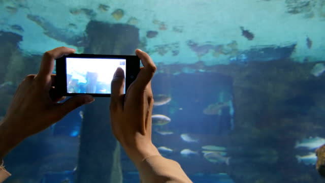 Woman-take-a-photo-in-oceanarium