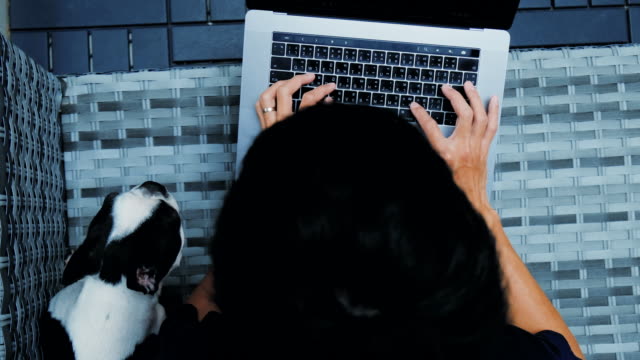 Un-hombre-es-un-programador.-Mecanografiando-y-utilizar-ordenador-portátil-trabajar-Internet-en-línea-con-travieso-Boston-Terrier-perro-en-casa.-Fondo-de-vista-superior-feliz-y-sonrisa.