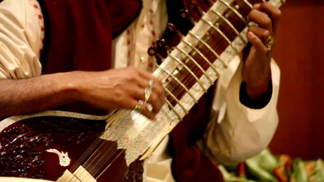 Hands-Playing-Sitar:-India
