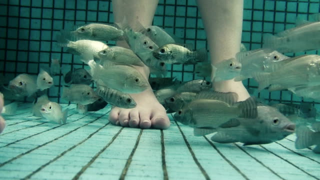 Underwater-Fish-Spa-Pedicure-Closeup
