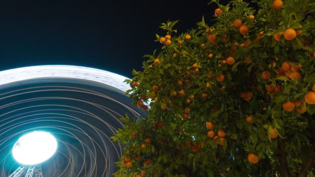 spain-seville-nigh-light-mandarin-tree-ferris-wheel-4k-time-lapse