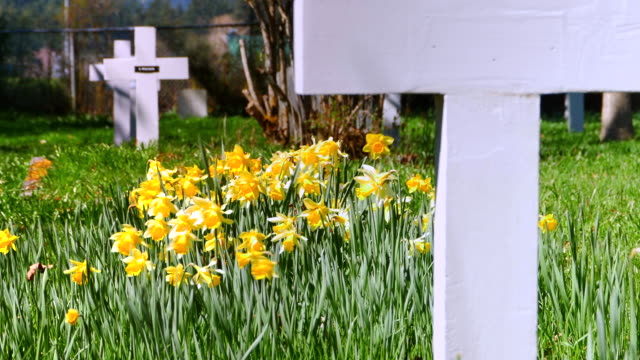 Lápida-de-tumba-Cruz-Closeup,-flores-en-primavera,-cementerio-Tombstonea