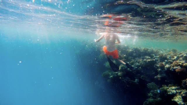 Kleiner-Junge-Schnorchel-schwimmen-im-flachen-Wasser-mit-Korallenfischen