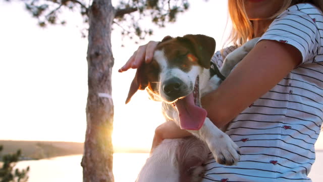Junge-attraktive-Frau-mit-einem-Hund-Jack-Russell-auf-der-Wiese-bei-Sonnenuntergang-mit-Meer-Hintergrund-spielen.-Slow-motion