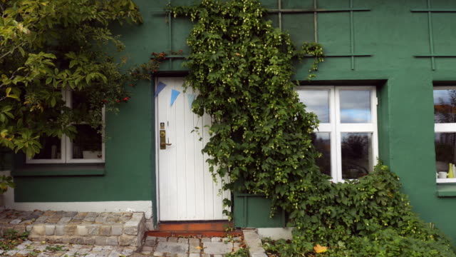Die-Außenwand-eines-Hauses-im-grünen-Efeu-bedeckt