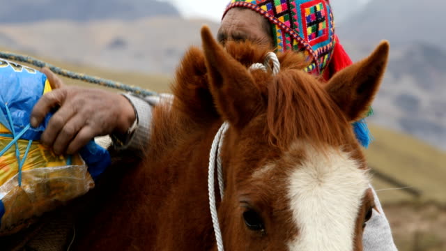 Quechua-Mann-laden-Pferd.
